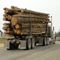 Truck_Log2